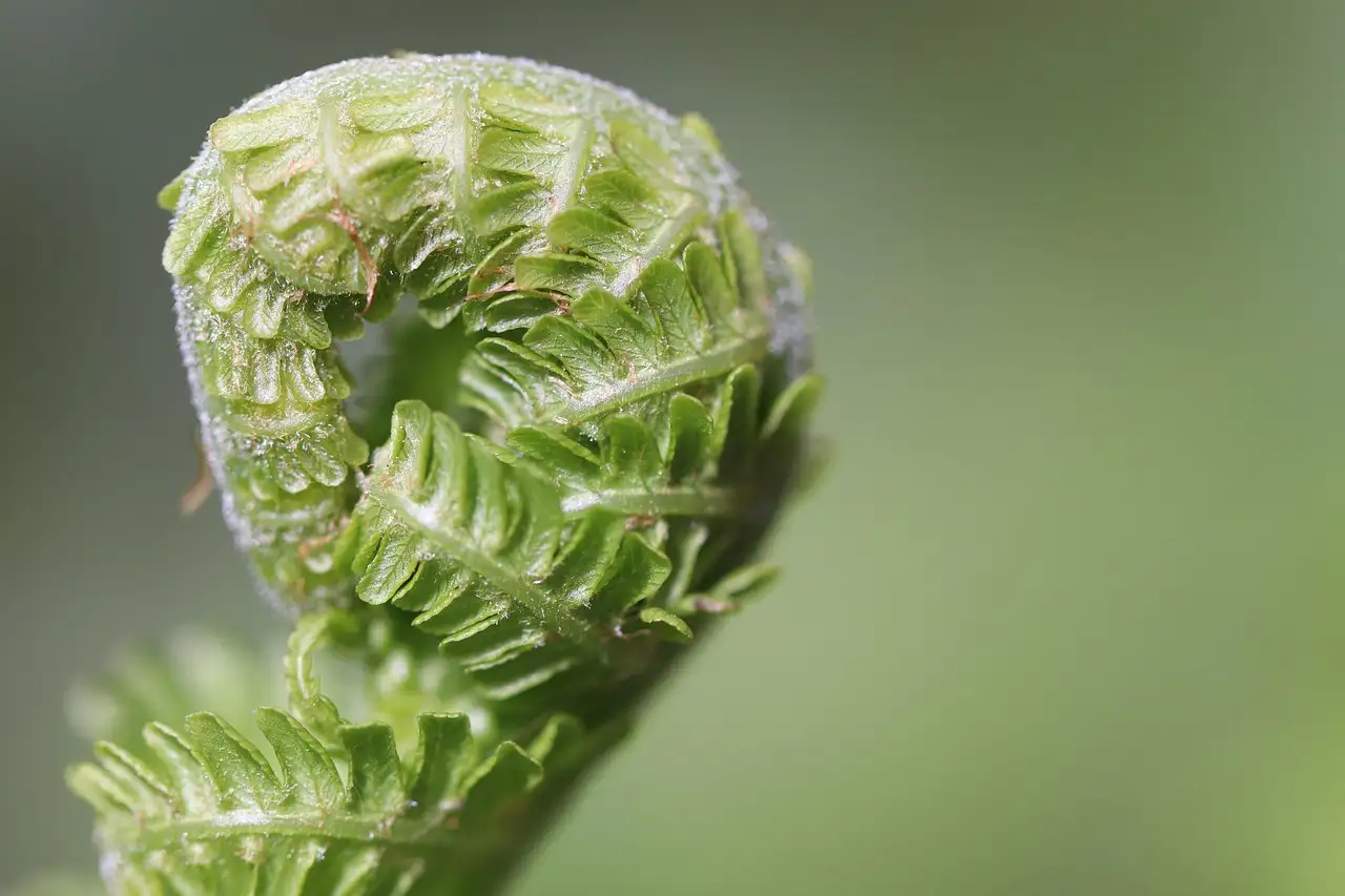 Schlüssel verloren? Soforthilfe und Tipps für den Ernstfall